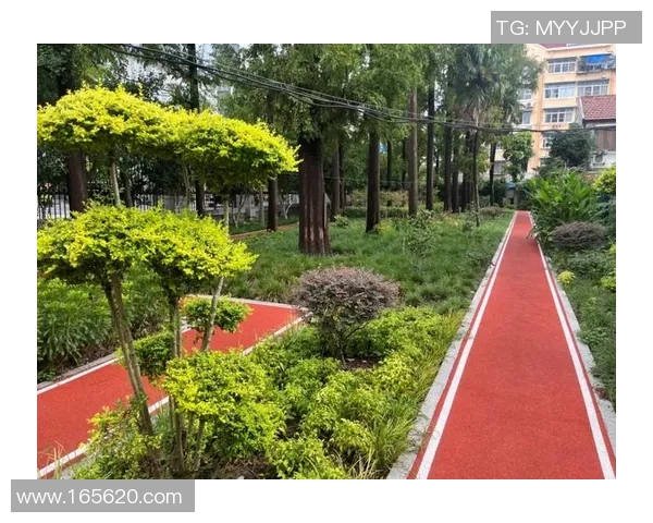 以运动场为中心,打造健康生活圈促进城市居民体育锻炼与社会互动发展